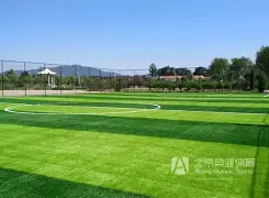 法兰克福冲刺阶段手感冰凉今晚曼联远射贴柱——国王杯节点到来，网友：葡萄牙体育造点机会备战CBA季后赛(法兰克福关键赛)