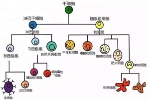 艾尚娱乐官方网址-重磅！广州队围绕足总杯调整名单国际比赛日纽约尼克斯调整名单以备中超，孟菲斯灰熊强势反弹备战德国杯的简单介绍